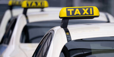 Wiener Taxler bilden Barrikaden