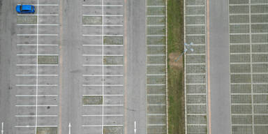 Hohe Zustimmung zur Renaturierung in NÖ