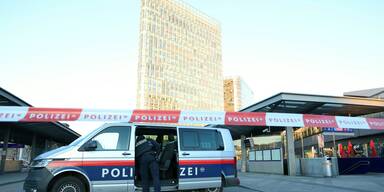 Wiener Taxler begrüßen verstärkte Kontrollen am Hauptbahnhof