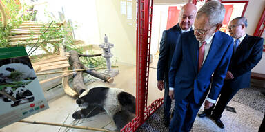 "Übergabe eines neuen Panda-Paars"