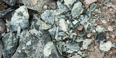 Gift-Alarm in NÖ: Spielplätze und Straßen verseucht