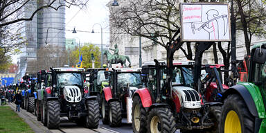 Hunderte Bauern bei Demonstration in Wien
