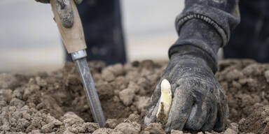 ABD_20260410_ABD0122.HR (1).jpg