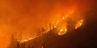 Mega-Waldbrand in Österreich: Erste Verdächtige einvernommen 