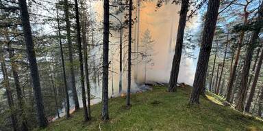 Großeinsatz bei Waldbrand in Wiener Neustadt