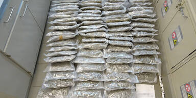 Diensthund "Jerry" erschnüffelte 15 Kilo Cannabis