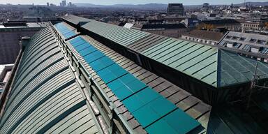 Wien Energie steigert Ökostrom-Leistung auf Rekordniveau