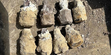 Auf Wiener Baufeld: 9 Weltkriegs-Bomben geborgen