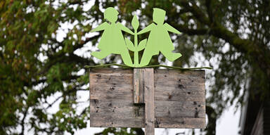 SOS Kinderdorf: Neuer Aufsichtsrat bestellt