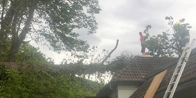 APA-HANDOUT--STEIERMARK-FEU.jpg