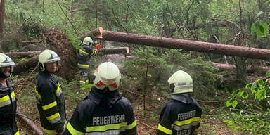 APA-HANDOUT--STEIERMARK-UNWETTER-IM-RAUM-GELISDORF-=.jpg