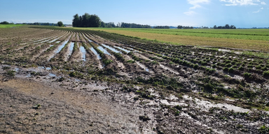 APAHagelversicherung-Unwetteralarm-in-Niederösterreich-und-im-Burgenland-=.png