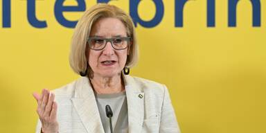 APAPK ÖVP NÖ, FPÖ NIEDERÖSTERREICH ERGEBNISSE DER REGIERUNGSKLAUSUR MIKL-LEITNER =.jpg