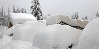 APASALZBURG-GROSSE-SCHNEEME.jpg