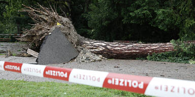APA_22730394742775930.jpg