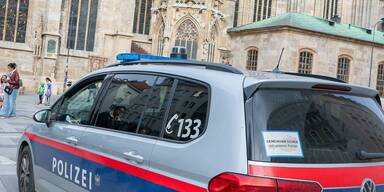 Nackter (19) randaliert am Wiener Stephansplatz