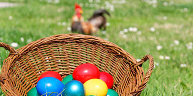 Händler stellt klar: "Oster-Eier sind sicher"