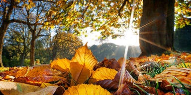 Bis zu 20 Grad: HIER gibts heute reichlich Sonnenschein