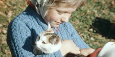 Basis-Depot zum Erhalt des niederösterreichischen Filmerbes