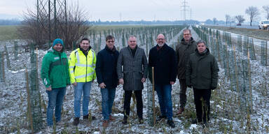 Wiener Neustadt: 1.800 Bäume an der S4 gepflanzt