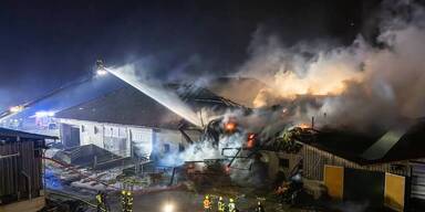 20 Kälber bei Brand im Hausruckviertel gestorben 