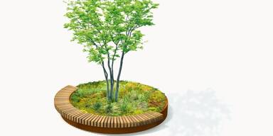 Baum eingefasst von einer Sitzbank 