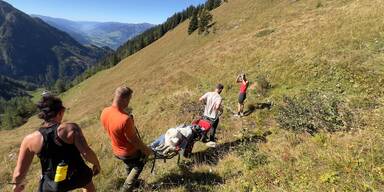 Von Kreuzotter in Nase gebissen: Bergrettung trug Hund ins Tal