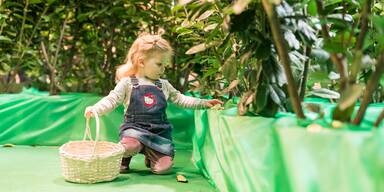 Bild 1_Ostersuche im XL-Labyrinth.jpg