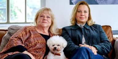 Premiere für 1. Austropop-Musikfilm - mit Mendt, Straßer, sowie Seiler und Speer. 