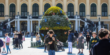 Bauernregel: So beeinflusst das Oster-Wetter den Sommer