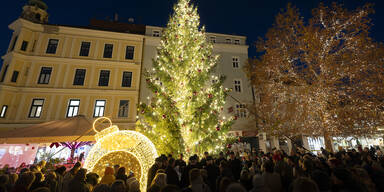 Feierliche Illuminierung des Christbaums in Wiener Neustadt