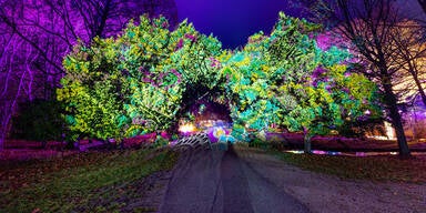 Illumina: Leuchtendes Märchen in Laxenburg günstiger erleben