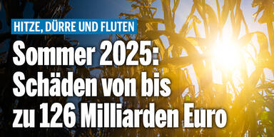 Dürre_Konsole.jpg