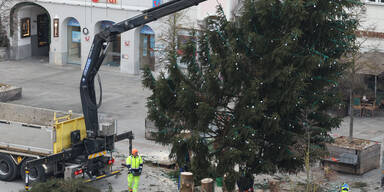 Linzer Weihnachtsbaum vom Hauptplatz wird verheizt 