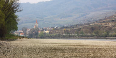 Donau.jpg