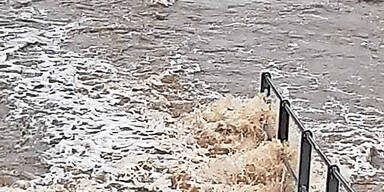 Wien Fluss Überflutungen Wien Lainzer Tiergarten 