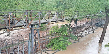 Wien Fluss Überflutungen Wien Lainzer Tiergarten 