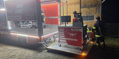 Zwei entlaufene Kälber seit Samstag vermisst 