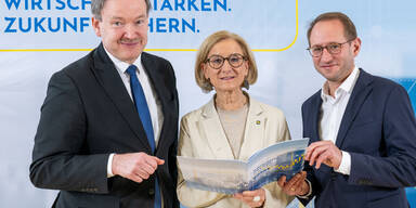 Niederösterreich gibt sich "Wirtschaftsstrategie 2030+“ 