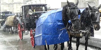 Fiaker Schnee