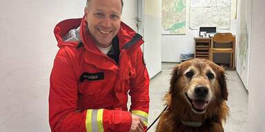 Suchhund "Findus" fand Vermisste im Wasserwald  