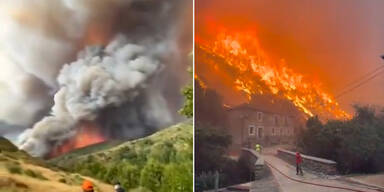 Flammen-Inferno: Tausende Hektar in Portugal und Spanien abgebrannt