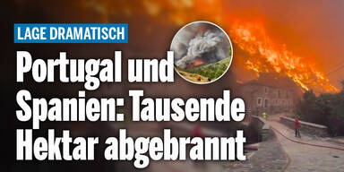 Flammen_Konsole.jpg