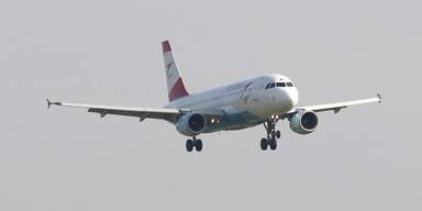 Flugzeug.jpg