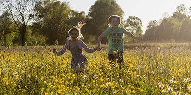 Frühling