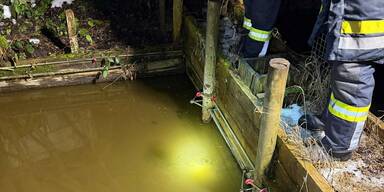Teiche und Brunnen durch Gülle verunreinigt