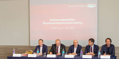 Vor Präsidentenwahl rumort es beim ÖFB