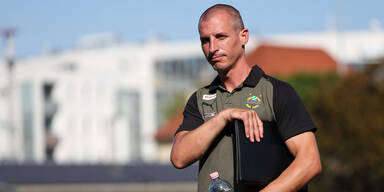 Nach Stöger-Aus: Kulovits übernimmt vorerst