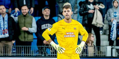 hedl rapid