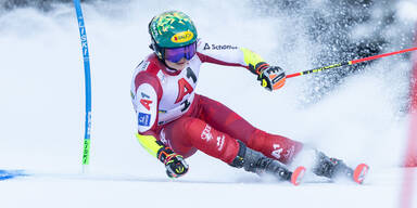 Magische Scheib feiert Heimsieg am "Zauberberg"